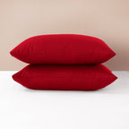 2 Pack Anti-Allergy Pillowcase | Hotel Quality Soft & Supportive Bed Pillows for Side, Back & Front Sleepers